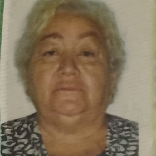 Josefa Gomes Araujo da Silva