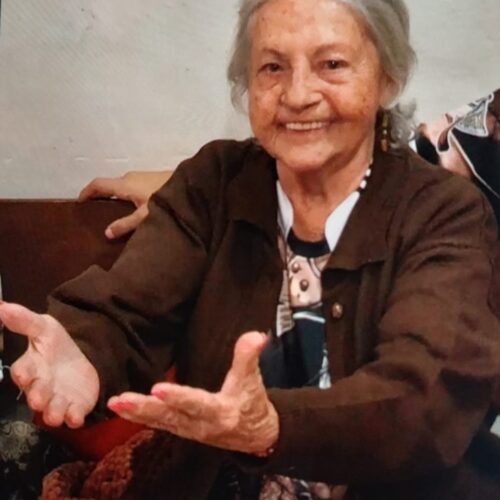 Anita Santos Costa